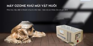 Máy ozone khử mùi vật muôi 