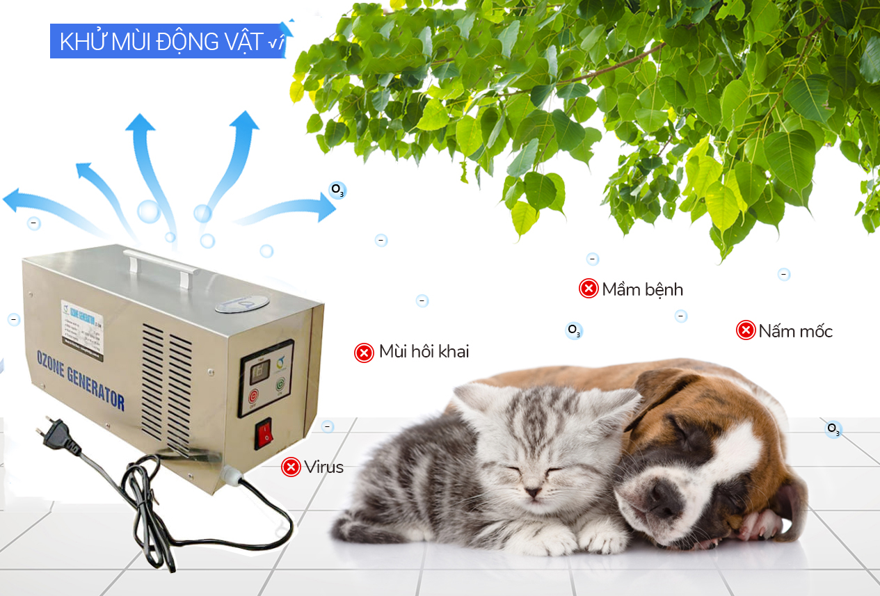 Ozone Khử mùi vật nuôi