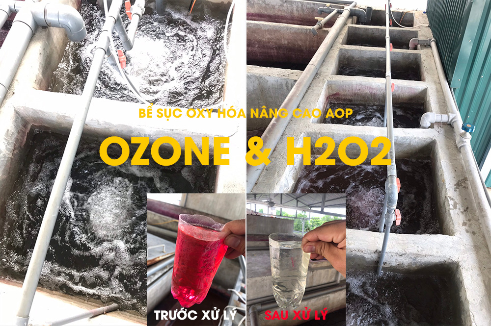 Máy ozone xử lý nước